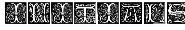 Initials TFB font preview